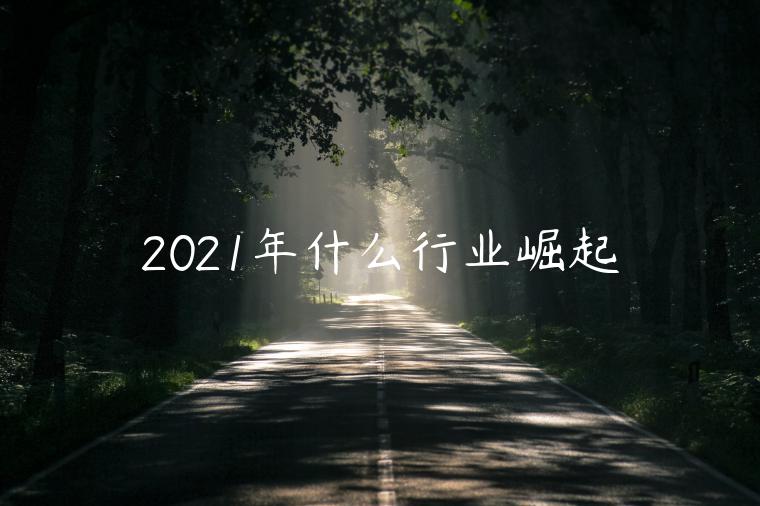 2023年什么行業(yè)崛起